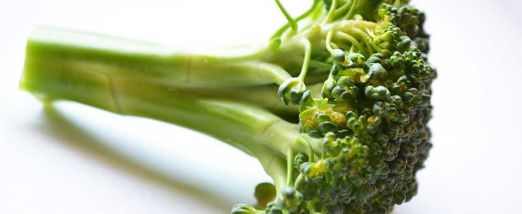 35-pound-broccoli