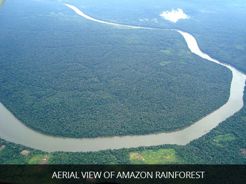 Aerial-View-of-Amazon-Rainforest