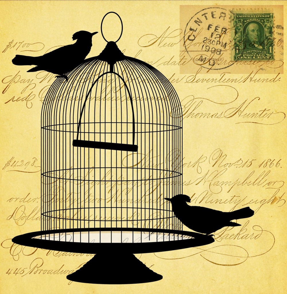 caged.birds
