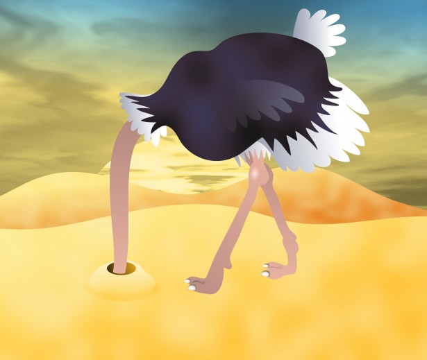 ostrich-head-sand