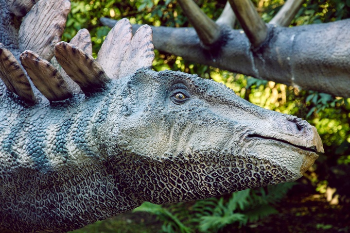 Stegosauruses usually communicated by hissing