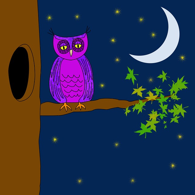 the moon and owl