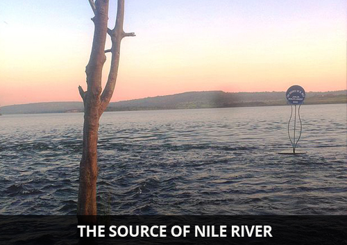 The-Source-of-Nile-River