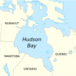 Hudson Bay Large
